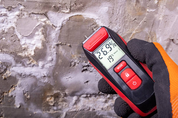 Best Basement Mold Remediation in Caddo, OK